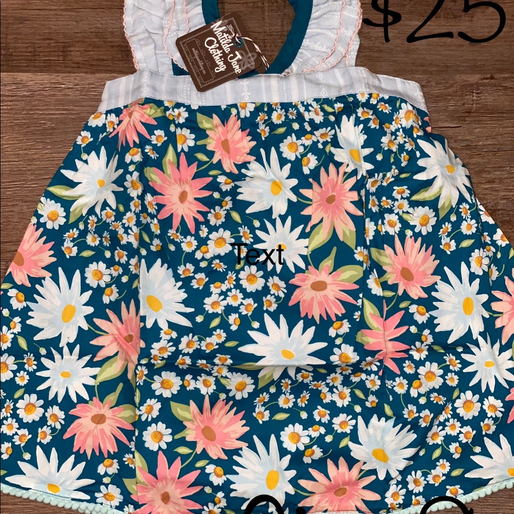 NWT Matilda Jane top